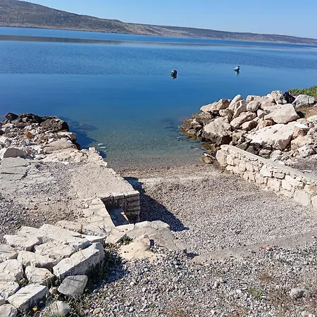 Bellevue *